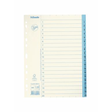 ESSELTE Rekisteri Esselte Jopa 1-20 A4 paperi