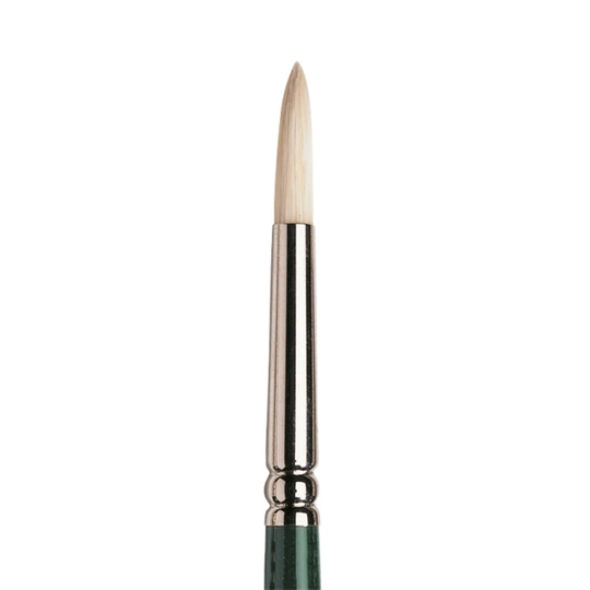 Winsor & Newton Winton Sianharjas Sivellin Koko 4
