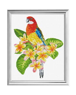 Kirjontapakkaus Taulu Frangipani Rosella