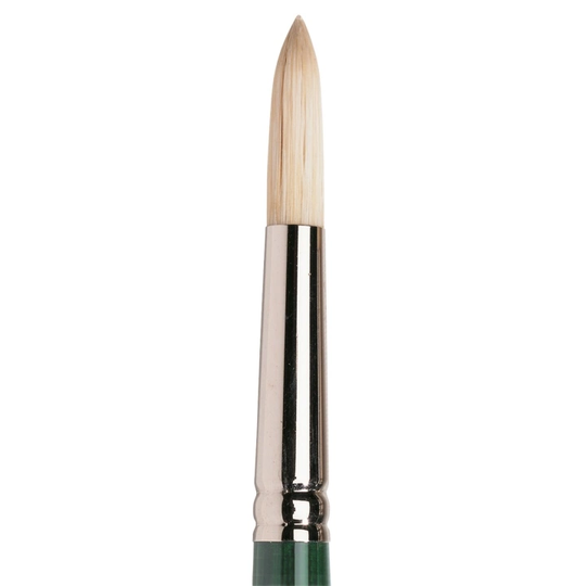 Winsor & Newton Winton Sianharjas Sivellin Pyöreä Koko 12