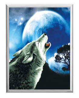 Kirjontapakkaus Taulu Susi