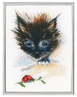 Broderikit Tavla nyfiken