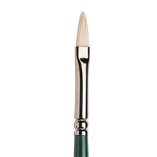 Winsor & Newton Winton Sianharjas Sivellin Filbert Koko 1