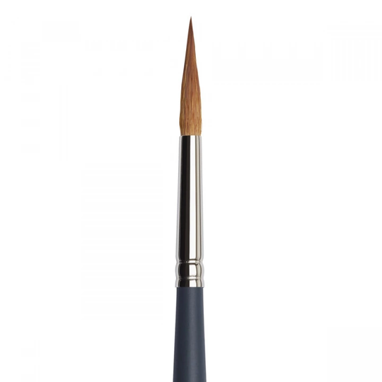 Winsor & Newton Professional Sivellin Pointed Round Koko 8