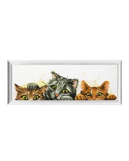Kirjontapakkaus Taulu Uteliaat kissat