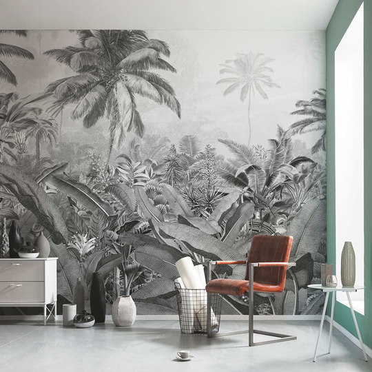 Komar Valokuvaseinämaalaus Amazonia mustavalkoinen 400x250 cm