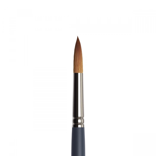 Winsor & Newton Professional Sivellin Round Koko 12