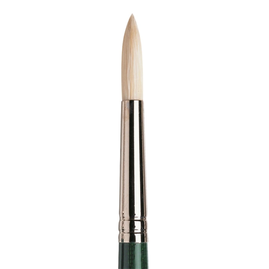 Winsor & Newton Winton Sianharjas Sivellin Koko 6